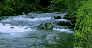 Ketchikan, Alaska, ABD kasabası, dünyanın kalamar başkenti itibar vardır, küçük dere sazan ev