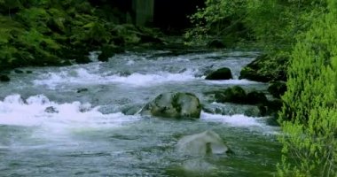 Ketchikan, Alaska, ABD kasabası, dünyanın kalamar başkenti itibar vardır, küçük dere sazan ev