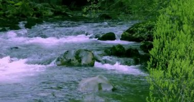 Ketchikan, Alaska, ABD kasabası, dünyanın kalamar başkenti itibar vardır, küçük dere sazan ev