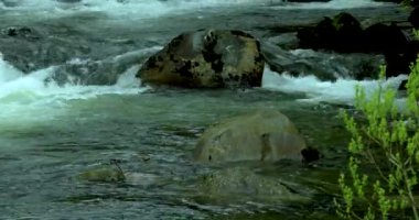 Ketchikan, Alaska, ABD kasabası, dünyanın kalamar başkenti itibar vardır, küçük dere sazan ev