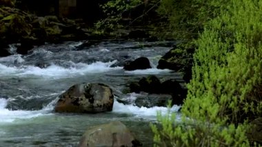 Ketchikan, Alaska, ABD kasabası, dünyanın kalamar başkenti itibar vardır, küçük dere sazan ev