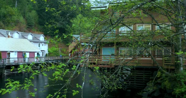 Cidade Ketchikan Alasca Fluxo Claro Verde Flui Pela Xiaoxi Street — Vídeo de Stock