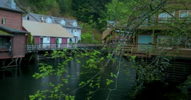 Dans Ville Ketchikan Alaska Ruisseau Vert Clair Traverse Rue Xiaoxi — Video