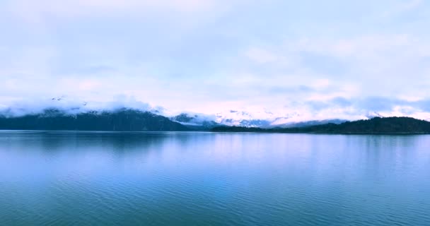 Park Narodowy Glacier Bay Alaska Usa Naturalne Dziedzictwo Świata Globalne — Wideo stockowe