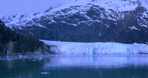 Glacier Bay Ulusal Parkı Alaska Abd Dünyanın Doğal Mirası Küresel — Stok video