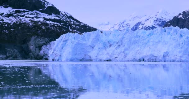 Nationalpark Glacier Bay Alaska Usa Ist Ein Naturerbe Der Welt — Stockvideo