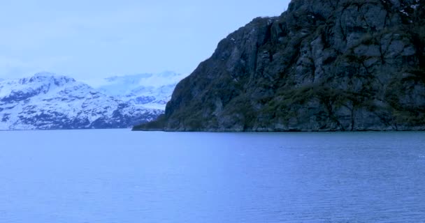 Glacier Bay National Park Alaska Usa Patrimonio Natural Del Mundo — Vídeo de stock