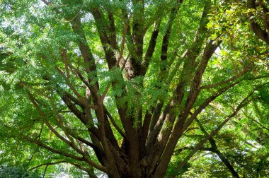 * * * * * * * * * * * * * * * * * * * * *