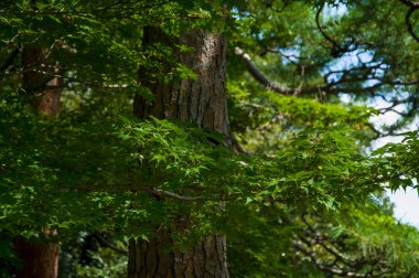 * * * * * * * * * * * * * * * * * * * * *