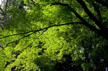 * * * * * * * * * * * * * * * * * * * * *