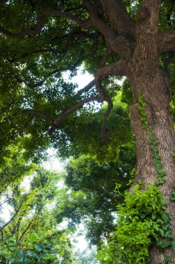 * * * * * * * * * * * * * * * * * * * * *