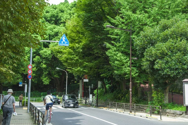Tokio Japón Parque Ueno Green Forest Road — Foto de Stock