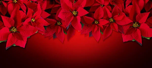 Рождество Открытки Рождественским Красным Дизайном — стоковое фото