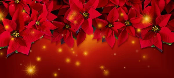 Christmas Greeting Card Christmas Red Design — Stock Photo, Image