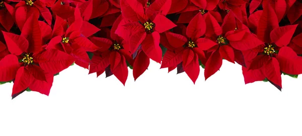 Natale Biglietto Auguri Con Disegno Rosso Natalizio — Foto Stock