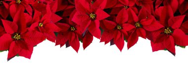Noel, içinde Noel kırmızı tasarımı olan tebrik kartı