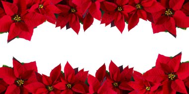 Noel, içinde Noel kırmızı tasarımı olan tebrik kartı