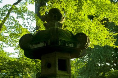 Tokyo, Japonya, Ueno Toshogu Tapınağı, Budist taştan fenerler.