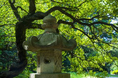 Tokyo, Japonya, Ueno Toshogu Tapınağı, Budist taştan fenerler.