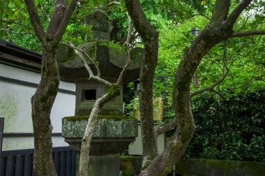 Tokyo, Japonya, Ueno Toshogu Tapınağı, Budist taştan fenerler.