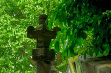 * * * * * * * * * * * * * * * * * * * * *