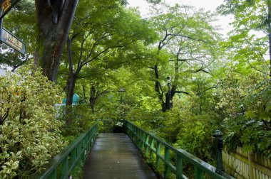  Tokyo, Japonya, Sanyingsen Ghibli Sanat Müzesi
