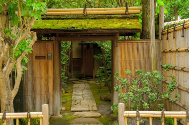 Tokyo, Japonya, Ueno tarihi binası, ünlü çay seremonisi
