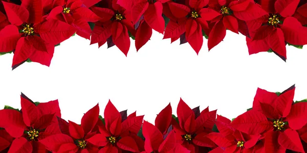 Noel, içinde Noel kırmızı tasarımı olan tebrik kartı