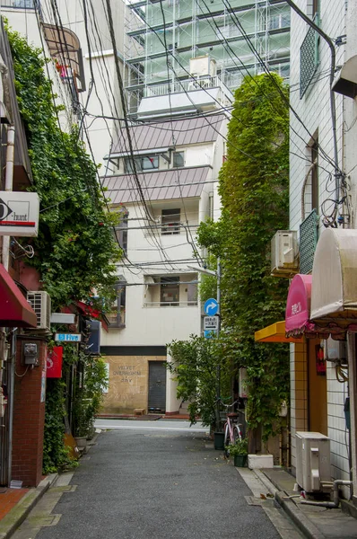 Τόκιο Ιαπωνία Δρόμοι Του Σιντζούκου Πολύχρωμοι — Φωτογραφία Αρχείου