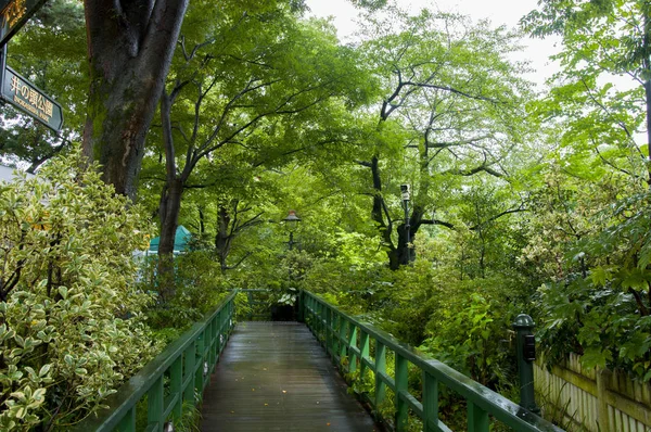 Tokyo, Japan, Sanyingsen Ghibli Art Museum — Stock Photo, Image