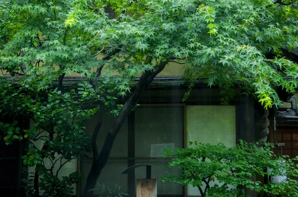 Tóquio Japão Rua Comercial Templo Asakusa Restaurante Japonês Beco — Fotografia de Stock