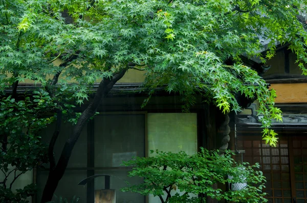 Tokyo Japon Rue Commerçante Temple Asakusa Restaurant Japonais Dans Allée — Photo