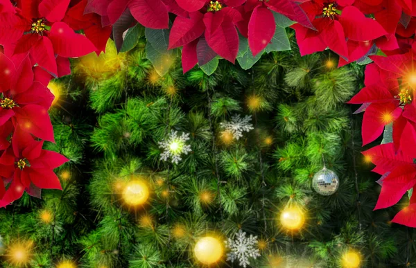 Noel Içinde Noel Kırmızı Noel Ağacı Olan Tebrik Kartı — Stok fotoğraf