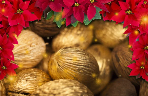 Cartão Natal Sementes Secas Feitas Ornamentos Dourados Natal Vermelho Natal — Fotografia de Stock