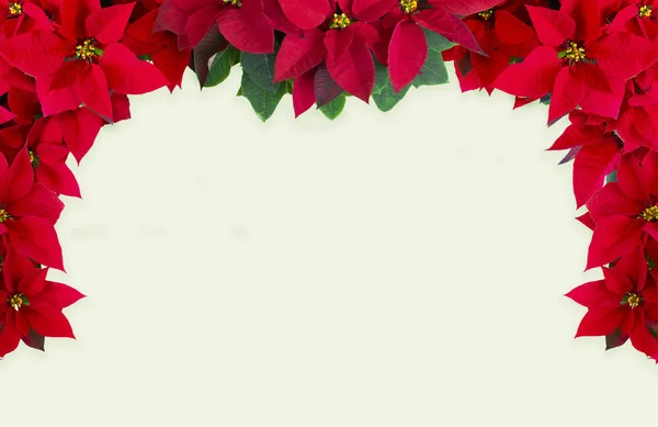 Design Rosso Natale Cesto Laterale Cartoline Natale Vai Sul Retro — Foto Stock