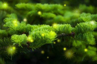 * * * * * * * * * * * * * * * * * *