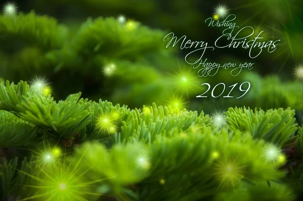 Natal Cartão Fundo Cipreste Árvore Com Starburst Brilhante — Fotografia de Stock
