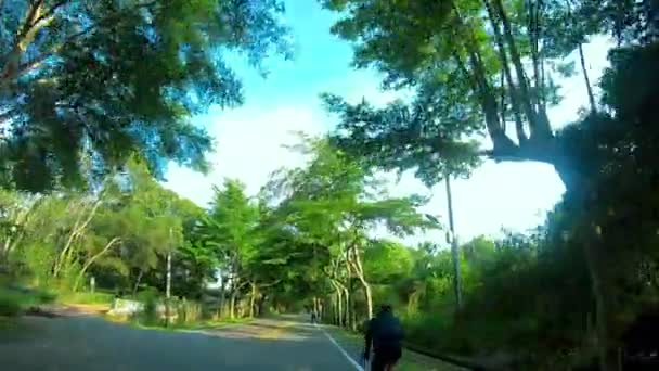 Bella Strada Verde Tra Montagne Del Centro Sud Taiwan — Video Stock