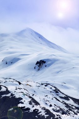 Buzul Körfezi Ulusal Parkı 'nın görkemli buz zirveleri, Alaska, ABD