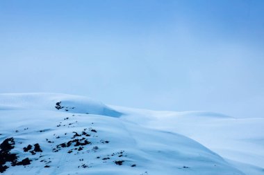 Buzul Körfezi Ulusal Parkı 'nın görkemli buz zirveleri, Alaska, ABD