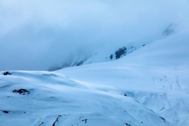 Buzul Körfezi Ulusal Parkı 'nın görkemli buz zirveleri, Alaska, ABD