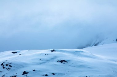 Buzul Körfezi Ulusal Parkı 'nın görkemli buz zirveleri, Alaska, ABD