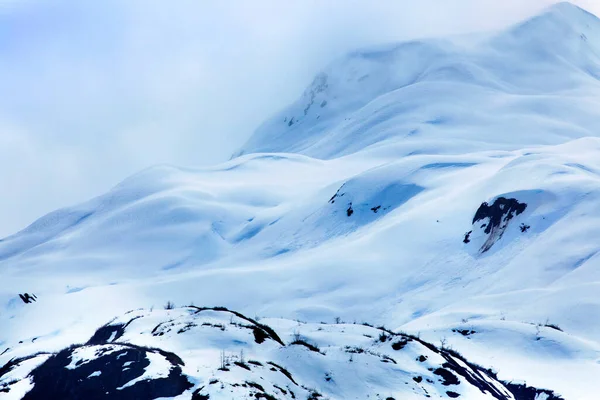 Maestose Cime Ghiacciate Del Glacier Bay National Park Alaska Usa — Foto Stock