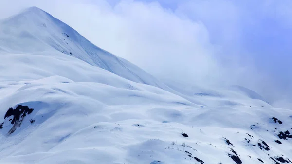 Величні Льодовикові Вершини Національного Парку Льодовикова Затока Аляска Сша — стокове фото