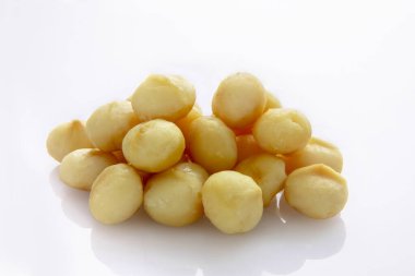 Besleyici fındıklar, Macadamia fasulyeleri, Macadamia fındıkları,,