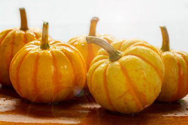 Yemek masasında taze küçük balkabakları