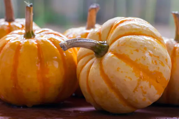 Pequeñas Calabazas Frescas Mesa Comedor —  Fotos de Stock