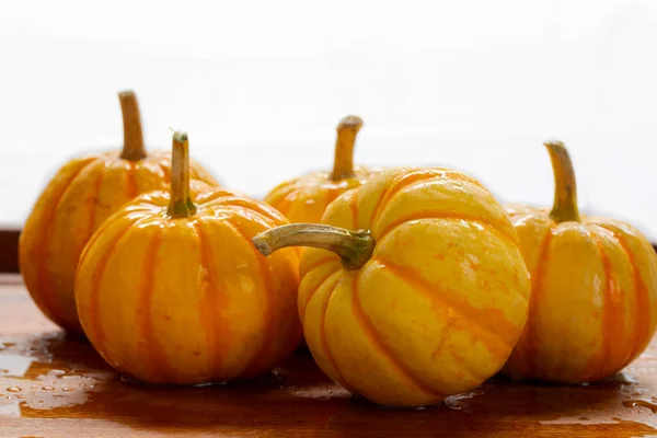 Fresh Small Pumpkins Dining Table — Stock Photo, Image