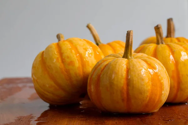 Fresh small pumpkins on the dining table