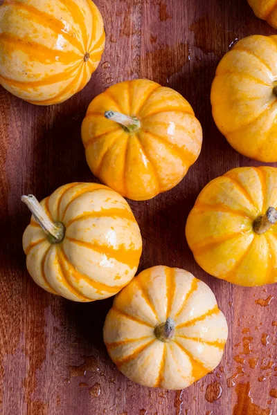 Fresh small pumpkins on the dining table